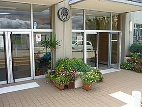 プラシード 106 ｜ 兵庫県姫路市飾磨区構3丁目409-3（賃貸アパート1LDK・1階・40.29㎡） その19