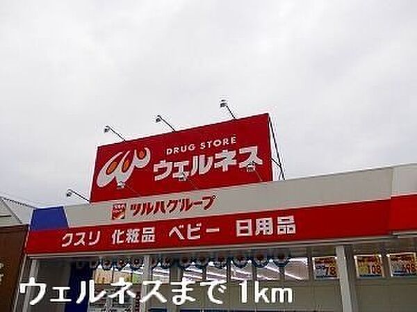 画像15:ウェルネスまで1000m