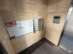6 / 11