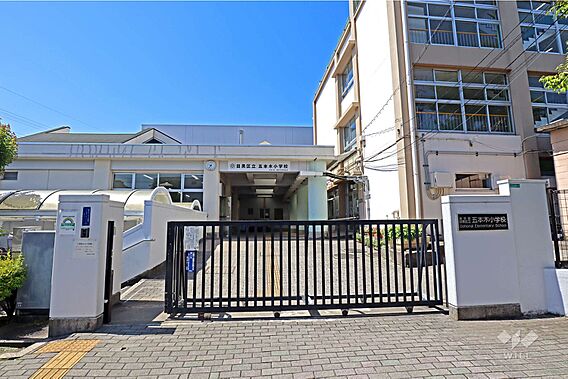 五本木小学校[...