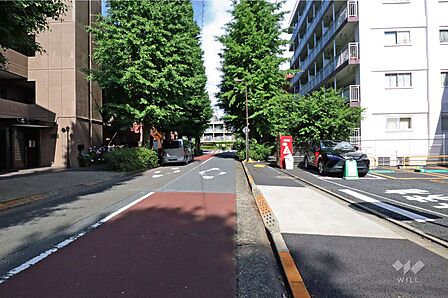 敷地南側の前面道路(東側から)