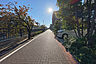 その他：敷地北東側の前面道路（北西側から）