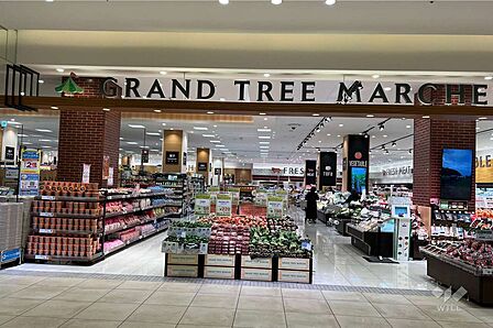 イトーヨーカドー(グランツリ-武蔵小杉店)の外観