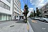その他：敷地の南東側前面道路（南西側から）