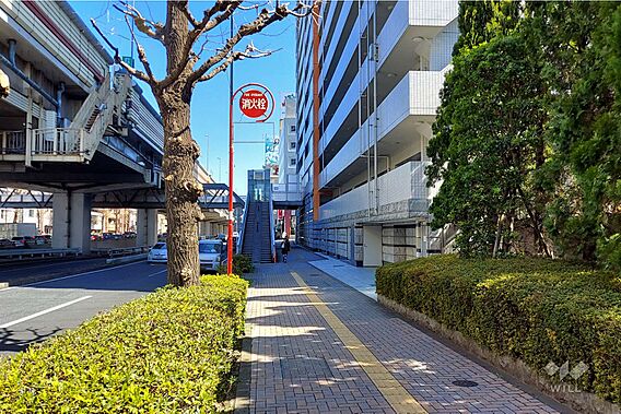 敷地北側の前面...