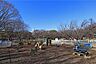 周辺：都立砧公園の外観