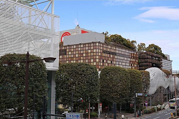 周辺を拡大表示