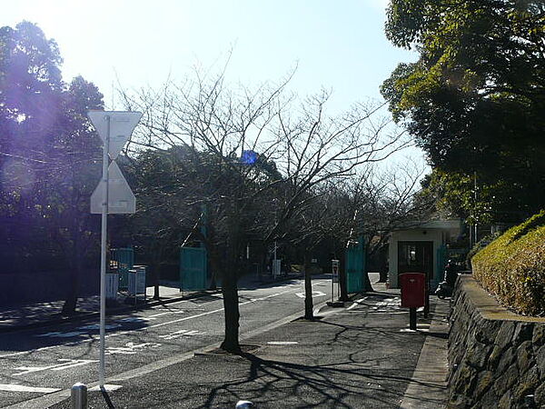画像25:横浜市立大学　金沢八景キャンパス（1589m）