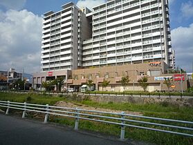 グリーンヒルズ仁川5号棟  ｜ 兵庫県宝塚市仁川団地（賃貸マンション1LDK・1階・43.00㎡） その25