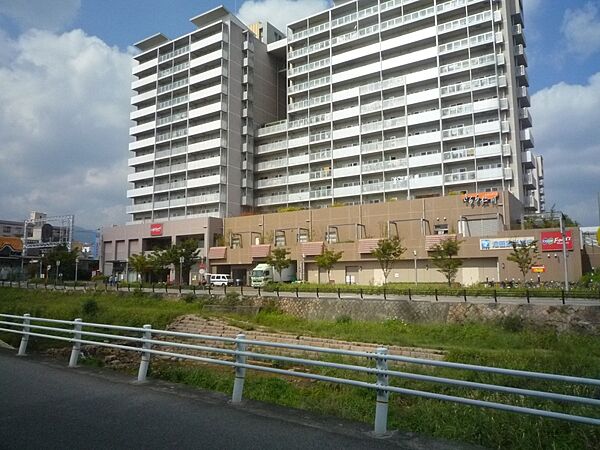 Shell Pool5 ｜兵庫県西宮市門戸東町(賃貸マンション1LDK・3階・35.92㎡)の写真 その26