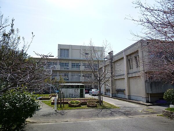 画像23:【小学校】宝塚市立　光明小学校まで311ｍ