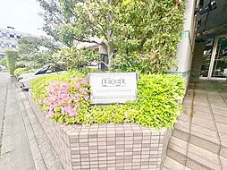 5 / 23