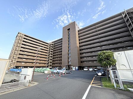 現地（2026年7月下旬撮影）