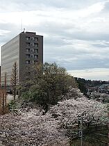 サウスヒルズ岡上A棟 203 ｜ 神奈川県川崎市麻生区岡上1441-158（賃貸アパート1R・2階・15.85㎡） その3