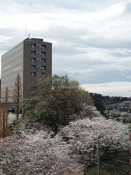 サウスヒルズ岡上A棟 203｜神奈川県川崎市麻生区岡上(賃貸アパート1R・2階・15.85㎡)の写真 その3