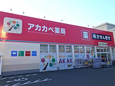 ドラッグアカカベ 山之上店(841m)