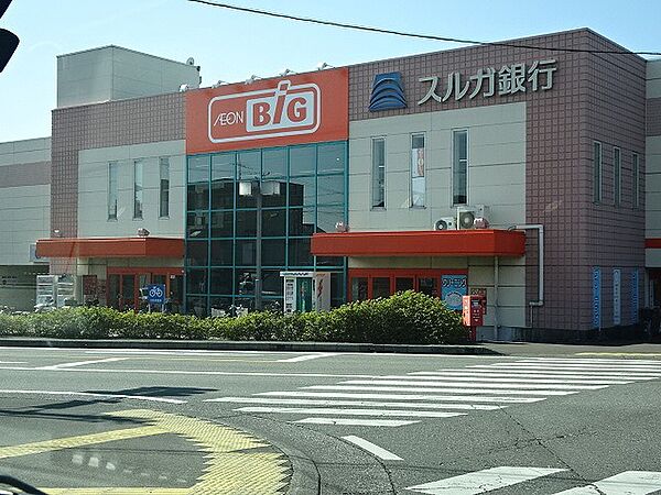 画像18:【スーパー】ザ・ビッグ金谷店まで7320ｍ