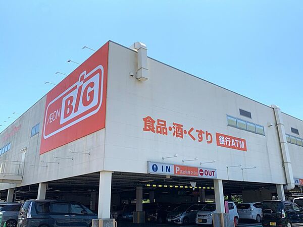 画像10:ザ・ビッグ 藤枝田沼店 0.7km