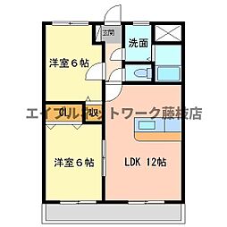 ノヴァ藤枝
