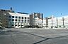 周辺：江東区立砂町中学校