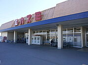 カスミ壬生店 770m