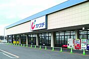 カワチ薬品真岡西店 838m