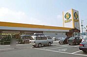 セキチュー宇都宮駒生店 1251m