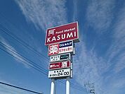 カスミテクノポリス清原店 999m
