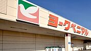 ヨークベニマル針ヶ谷店 636m