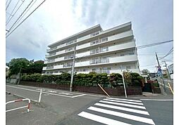 チュリス花壇