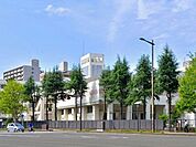 仙台市立五橋中学校 徒歩7分。 510m