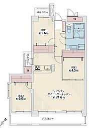 ライオンズマンション泉崎公園 3LDKの間取図画像