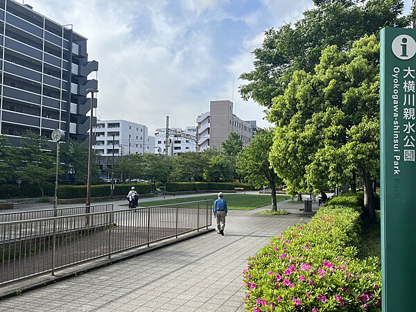 画像18:大横川親水公園