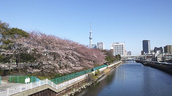 ヴェルト西大島グラーセ 905｜東京都江東区北砂３丁目(賃貸マンション1K・9階・23.52㎡)の写真 その19