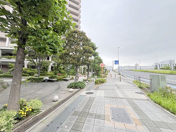 敷地外正面歩道