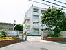 周辺：横浜市立大正中学校　610ｍ