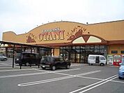 フードオアシスOTANI五代店 1100m