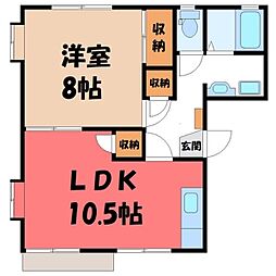 コーポカトレア 1階/-