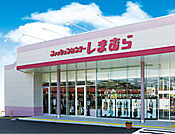 ファッションセンターしまむら自治医大店 2468m