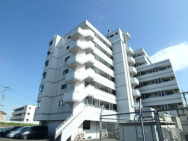 栃木県宇都宮市平松本町(賃貸マンション2LDK・4階・49.00㎡)の写真 その1