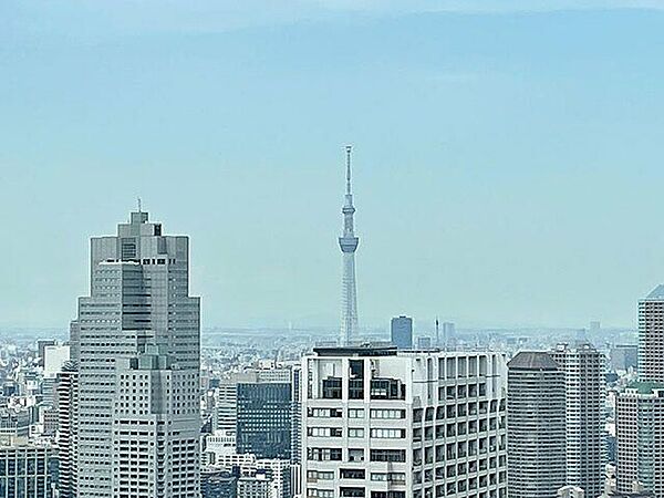 東京都中央区勝どき5丁目(賃貸マンション2LDK・50階・79.84㎡)の写真 その8