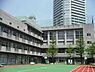 周辺：【小学校】中央区立月島第二小学校まで877ｍ