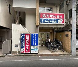 【ドラッグストア】みなみ薬局サンフラワー店まで806ｍ