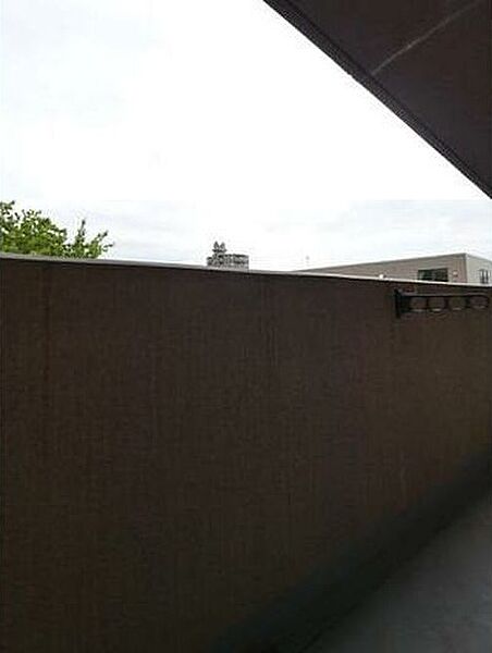 ルーデンスプレイス白石 302｜北海道札幌市白石区平和通2丁目北(賃貸マンション2LDK・3階・53.39㎡)の写真 その12