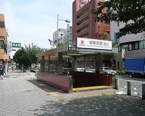周辺