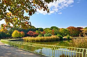 エスリード長居公園PARK AVENUE  ｜ 大阪府大阪市住吉区南住吉1丁目（賃貸マンション1K・5階・22.20㎡） その30