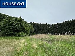 米山町字善王寺朝来下　売土地