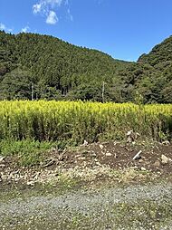 成田字前山下　売土地