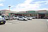 周辺：平和堂穂積店600ｍ