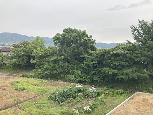 奈良県天理市丹波市町(賃貸マンション1K・3階・18.63㎡)の写真 その19